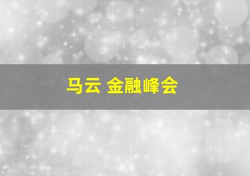 马云 金融峰会